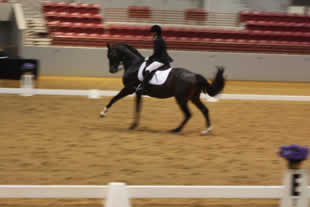 Tanz Show2011